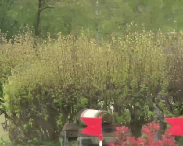 CCI2* Luhmühlen 2024