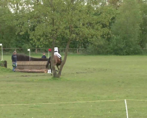 CCI2* Luhmühlen 2024