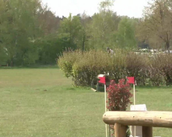 CCI2* Luhmühlen 2024