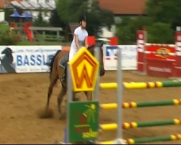 HORSE classics Killingen 2011