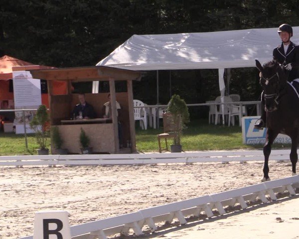 Reitturnier Pietzpuhl 2024