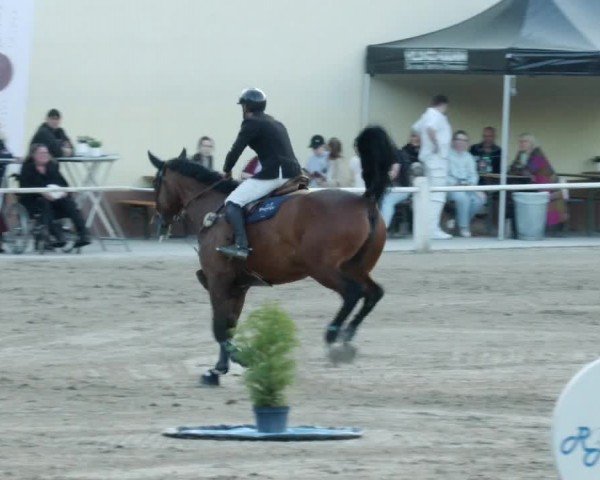 Reitturnier Großostheim/Ufr. 2024