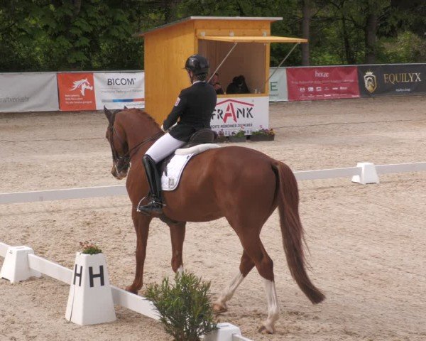 Reitturnier Karlsfeld/Obb. 2024