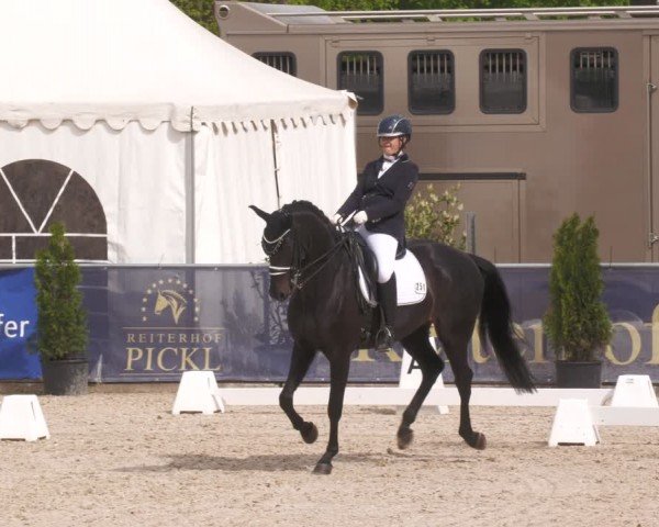 Reitturnier Karlsfeld/Obb. 2024