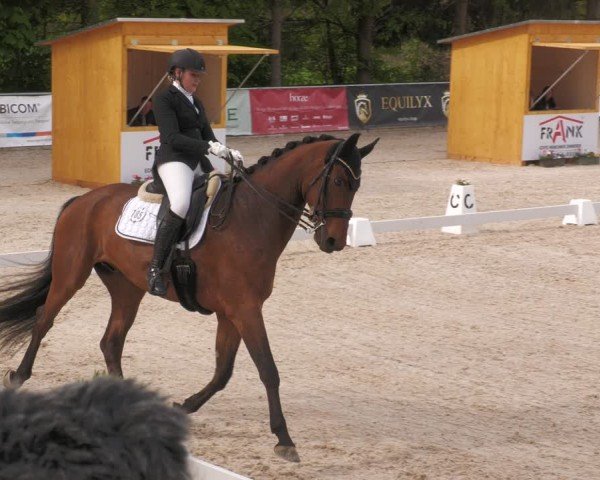 Reitturnier Karlsfeld/Obb. 2024