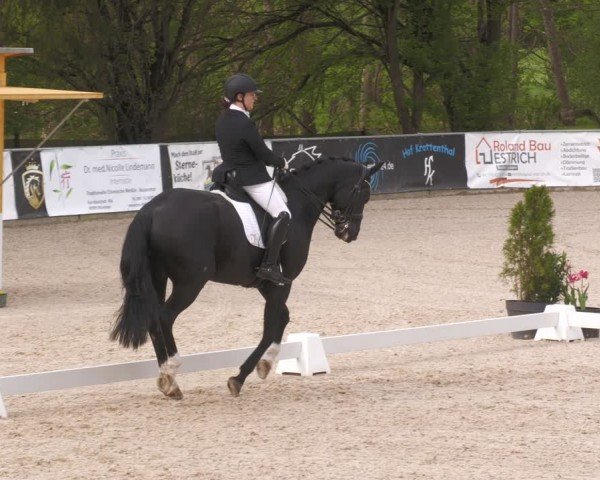 Reitturnier Karlsfeld/Obb. 2024