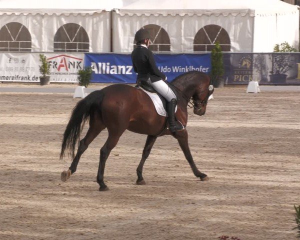 Reitturnier Karlsfeld/Obb. 2024