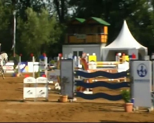 HORSE classics Killingen 2011