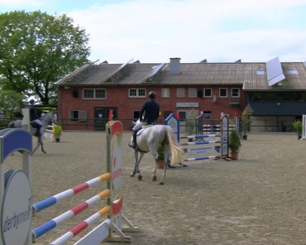 Reitturnier Heiden 2024