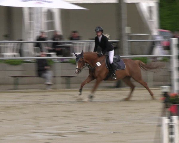 Reitturnier Olfen-Vinnum 2024