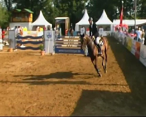 HORSE classics Killingen 2011