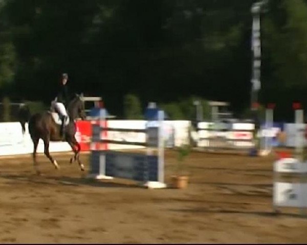 HORSE classics Killingen 2011