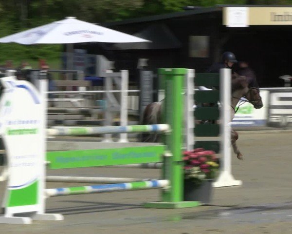 Reitturnier Olfen-Vinnum 2024