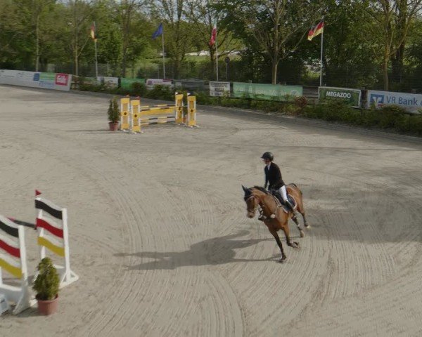 Reitturnier Monheim - Gut Blee 2024