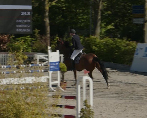 Reitturnier Monheim - Gut Blee 2024