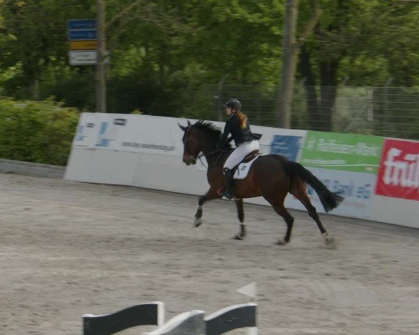 Reitturnier Monheim - Gut Blee 2024