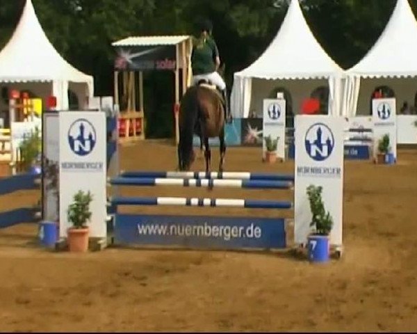 HORSE classics Killingen 2011