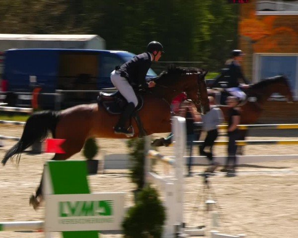 Reitturnier Bad Liebenstein/Sorga 2024