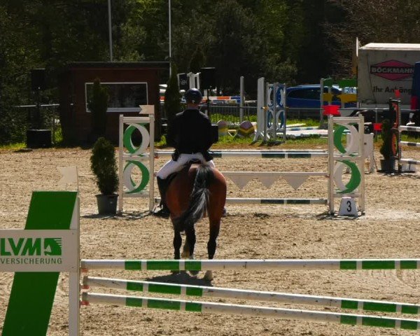 Reitturnier Bad Liebenstein/Sorga 2024