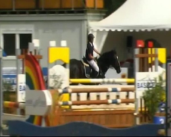HORSE classics Killingen 2011