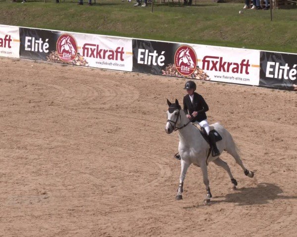 FEI Springturnier Stadl Paura 2024