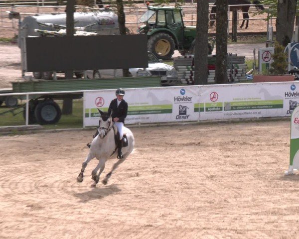 FEI Springturnier Stadl Paura 2024