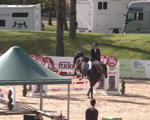 FEI Springturnier Stadl Paura 2024