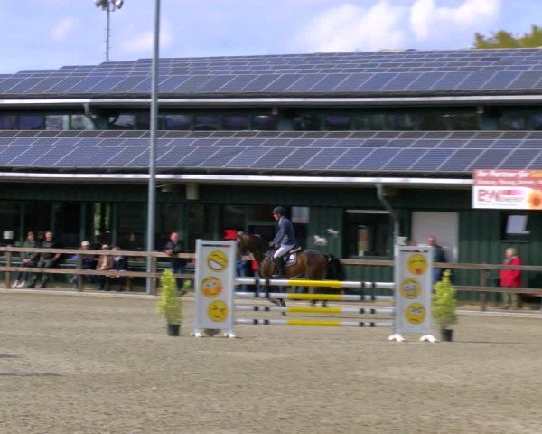 Reitturnier Heiden 2024