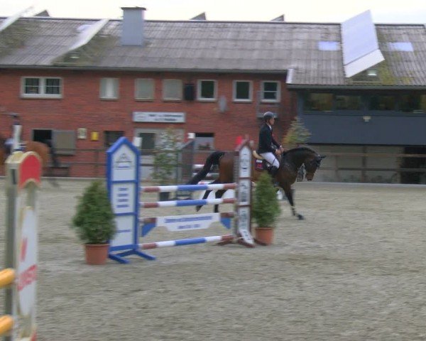 Reitturnier Heiden 2024