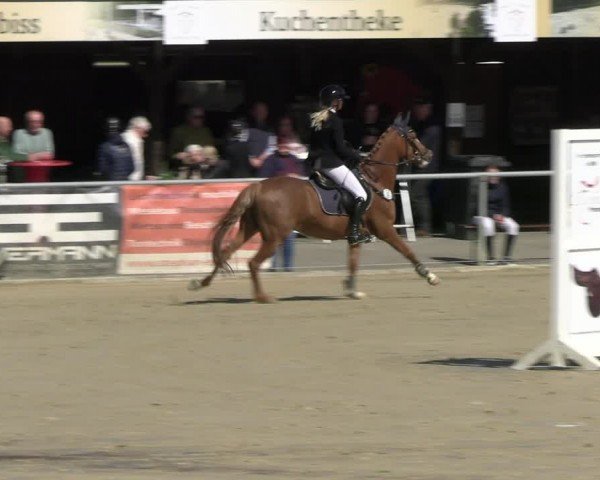 Reitturnier Olfen-Vinnum 2024