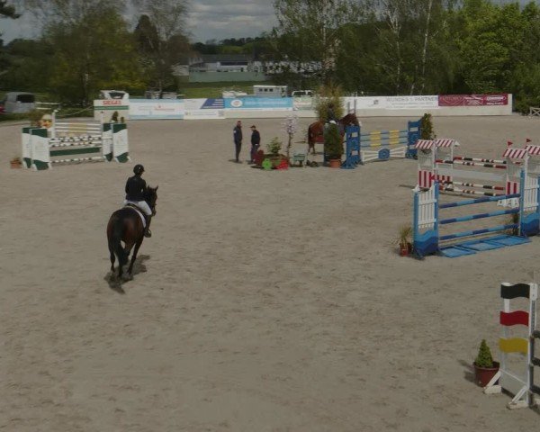 Reitturnier Monheim - Gut Blee 2024