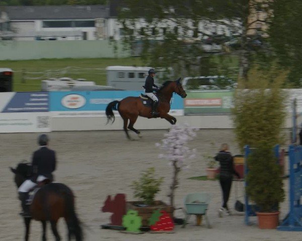 Reitturnier Monheim - Gut Blee 2024