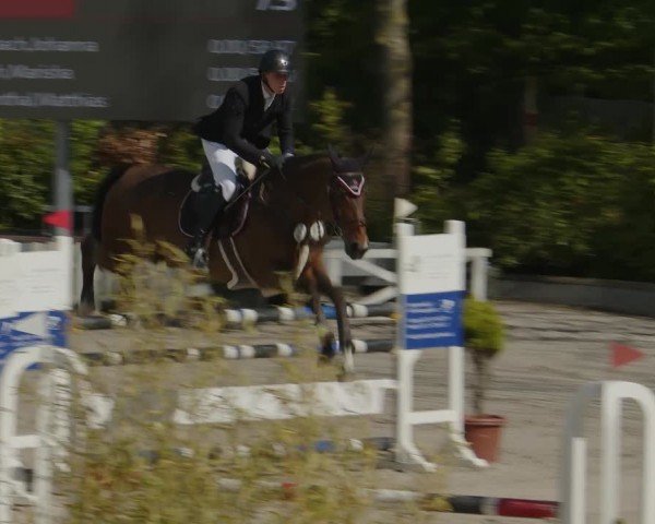 Reitturnier Monheim - Gut Blee 2024