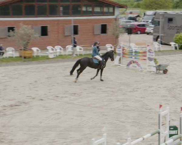 Reitturnier Monheim - Gut Blee 2024