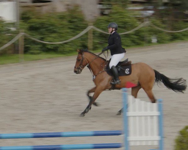 Reitturnier Monheim - Gut Blee 2024