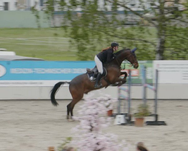 Reitturnier Monheim - Gut Blee 2024