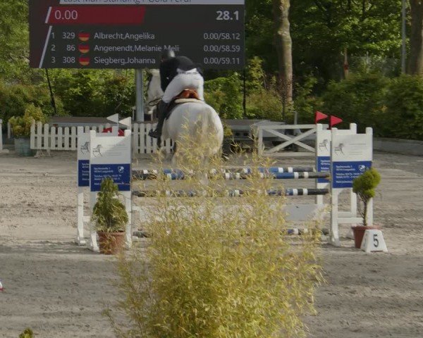 Reitturnier Monheim - Gut Blee 2024