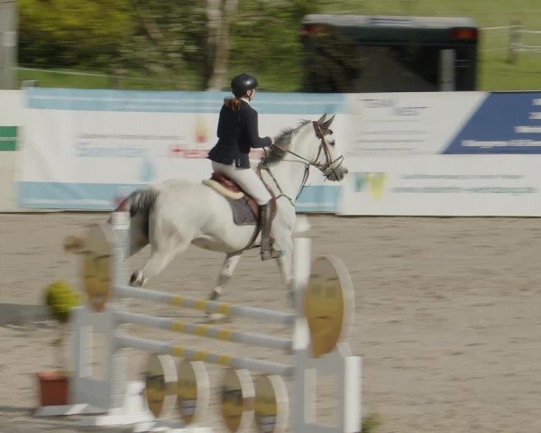 Reitturnier Monheim - Gut Blee 2024