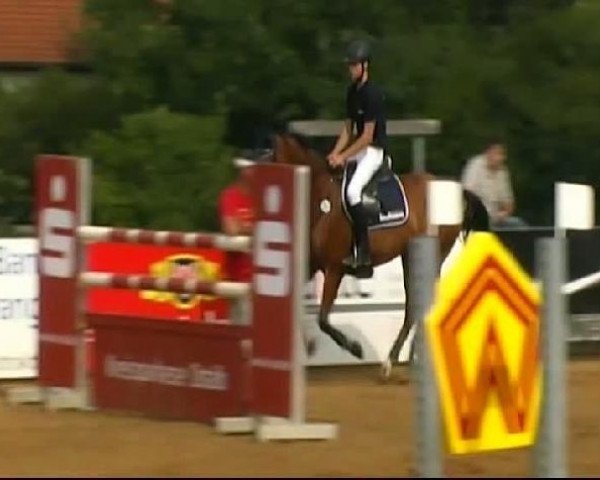 HORSE classics Killingen 2011