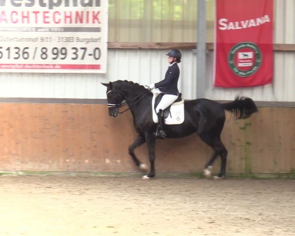 Reitturnier Schlieckau 2024