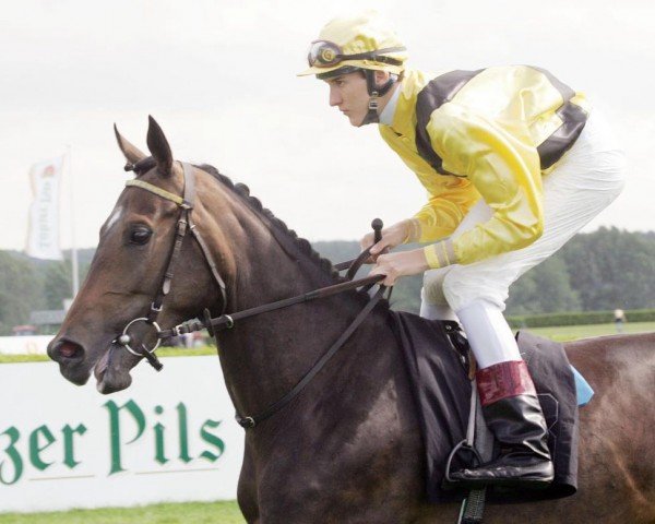 horse Thunder Flower (Thoroughbred, 2003, from Lavirco xx)