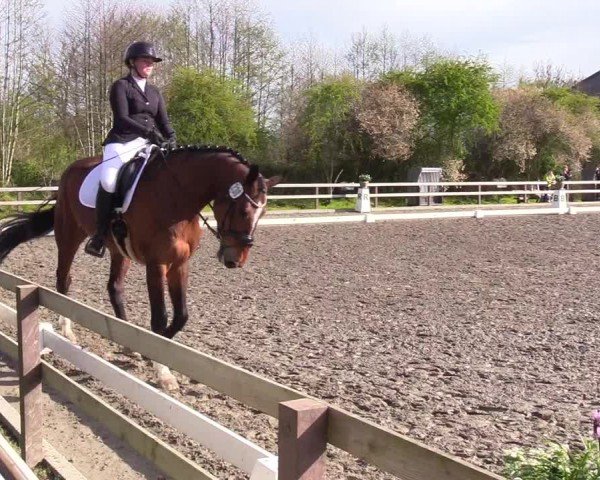 Reitturnier Ladelunder Turniertage 2024