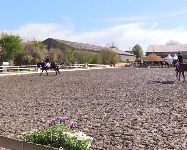 Reitturnier Ladelunder Turniertage 2024