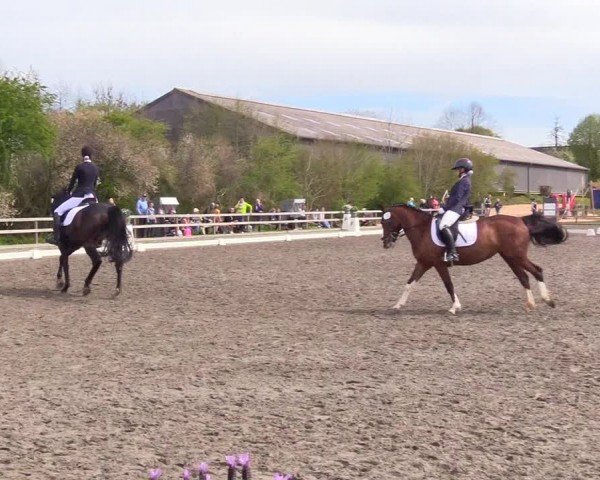 Reitturnier Ladelunder Turniertage 2024