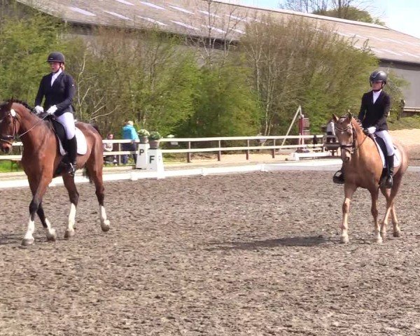 Reitturnier Ladelunder Turniertage 2024