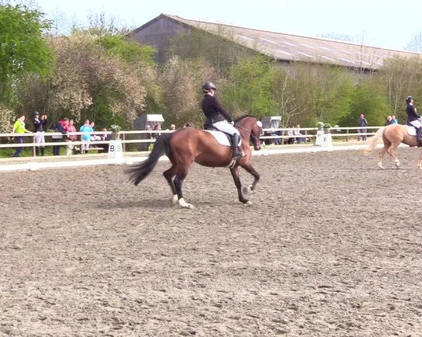 Reitturnier Ladelunder Turniertage 2024