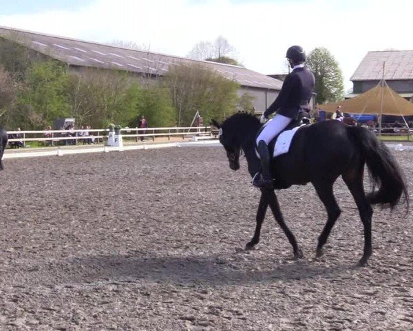 Reitturnier Ladelunder Turniertage 2024