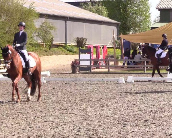 Reitturnier Ladelunder Turniertage 2024