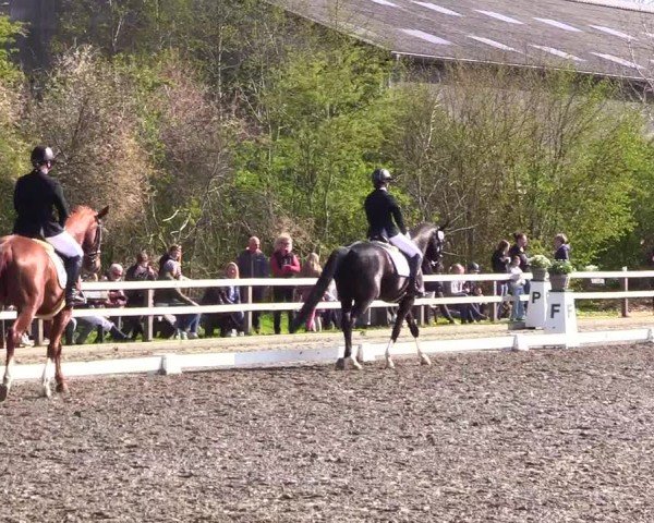 Reitturnier Ladelunder Turniertage 2024