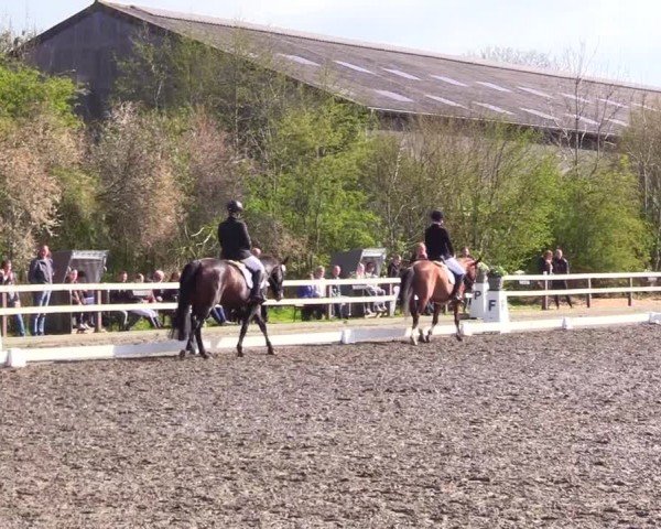 Reitturnier Ladelunder Turniertage 2024